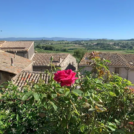 La Rose Du Vent-3