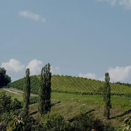 Weingut Juritsch-3