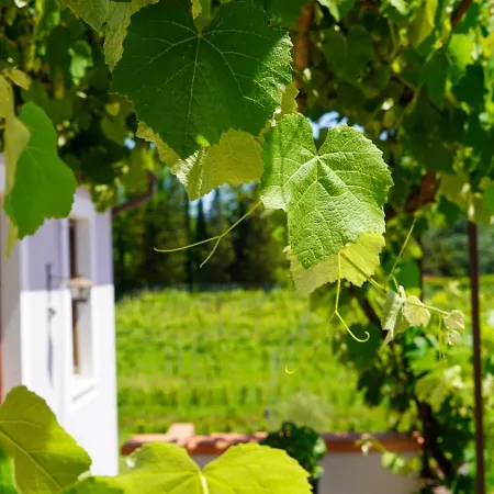 Wine House-2