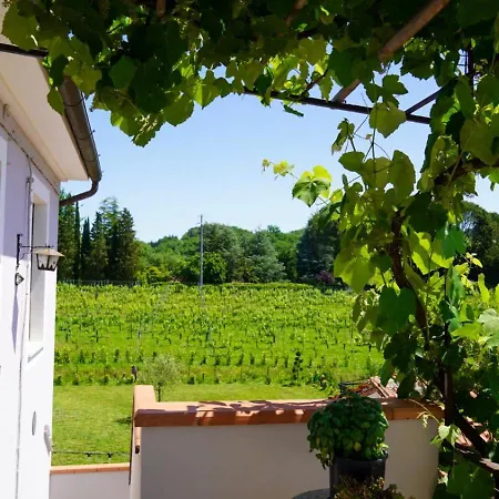 Wine House-3