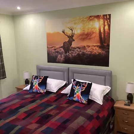 Taigh Sealladh Feidh B&B-3
