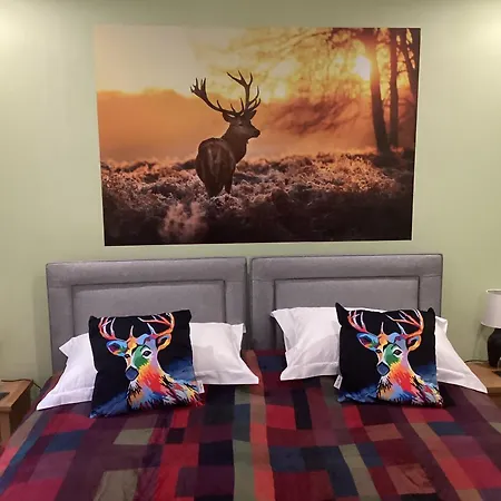 Taigh Sealladh Feidh B&B-2