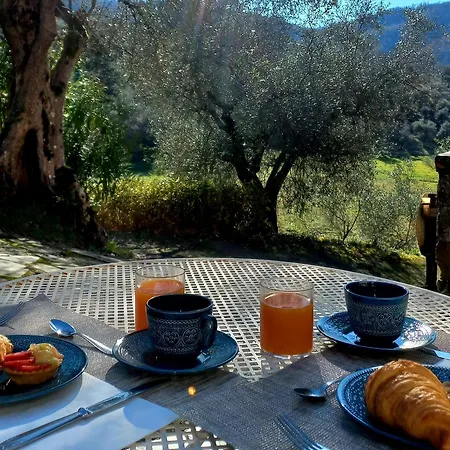 B&B La Risorgiva-2