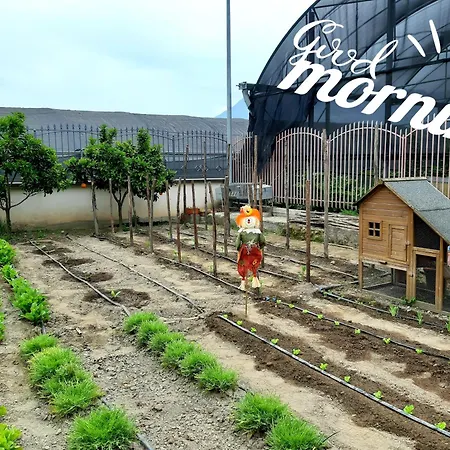 Il Giardino B&B-2