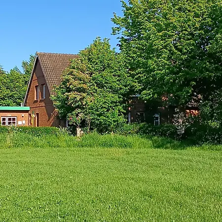 Dat lütte Nest-3