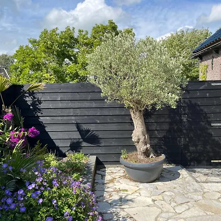 Bed&Breakfast Lokaal Wadway-3
