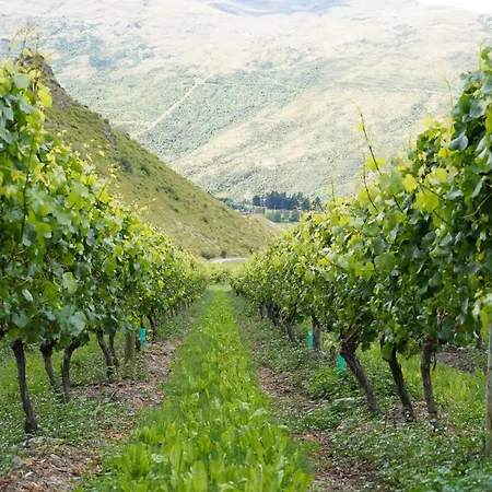 Mt Rosa Lodge Boutique Vineyard Accommodation-3