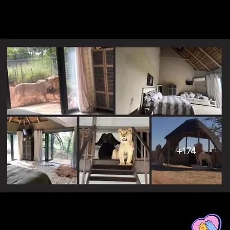 Simba Safaris African Pride Exotic Lodge-2