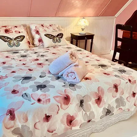 Bed&café Petit Papillon-2
