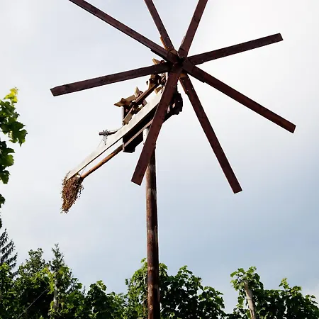 Weingut spitzyPeitler-3
