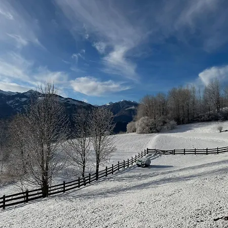 B&B Belvedere-3