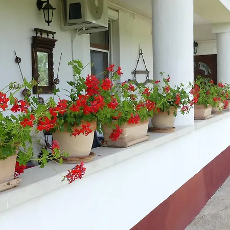 Tisza White House-2