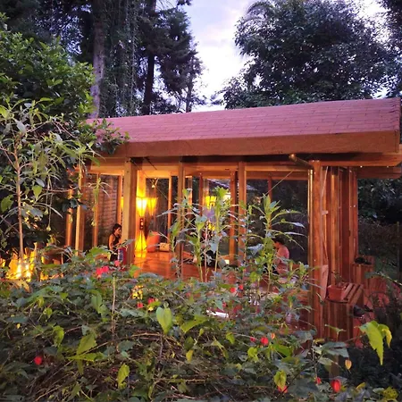 Casa Magnolia-3