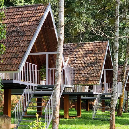 A Frame Cabins With Pool-2