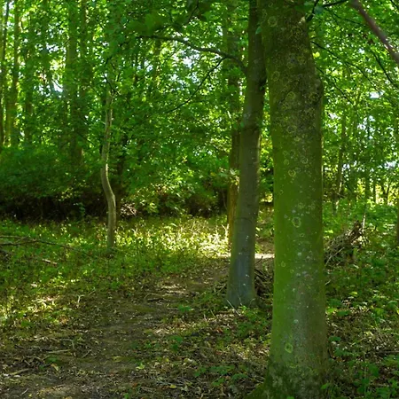 Wold Escapes, Highfield Farm-3