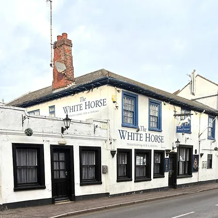 The Nelson-3