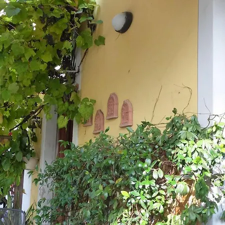 B&B Il Casale di Nanni-2