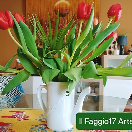 Il Faggio 17 B&B Artena-3