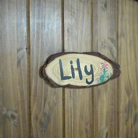 Lil Black Bear Inn-3