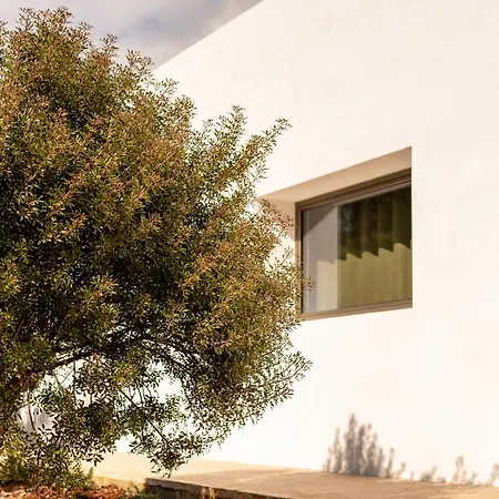 Botanico Villa&Suites-3