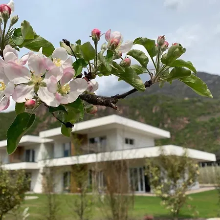 Pitla Cuna - Eco Relais-3