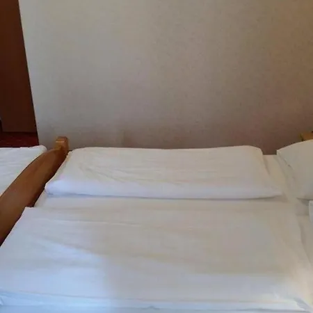 Hotel Pension Walzerstadt-2