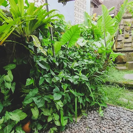 Aura Guesthouse-2
