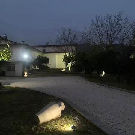 Tenuta degli Uliveti-2
