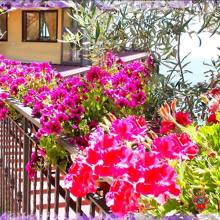 Villa Arianna B&B-3