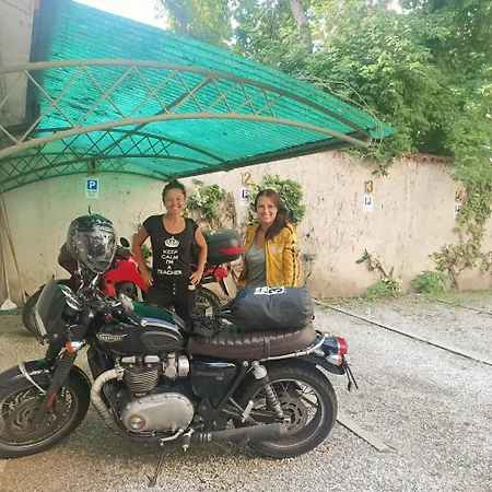 B&B Velocipede-3