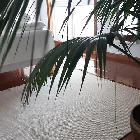 Sun & Sand Guesthouse-3