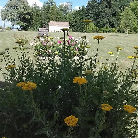 La Doucinière-2