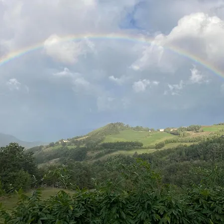 La Lupa E L'Orso B&B-3