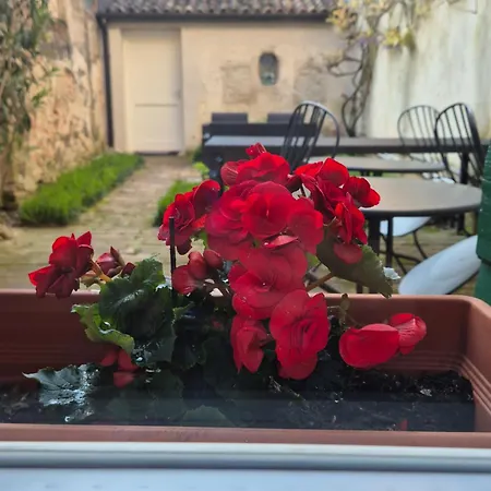 19 Borgo Cavour-3