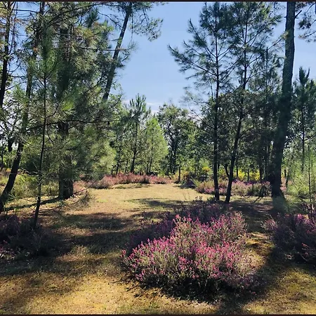 Au Clair Des Landes-2