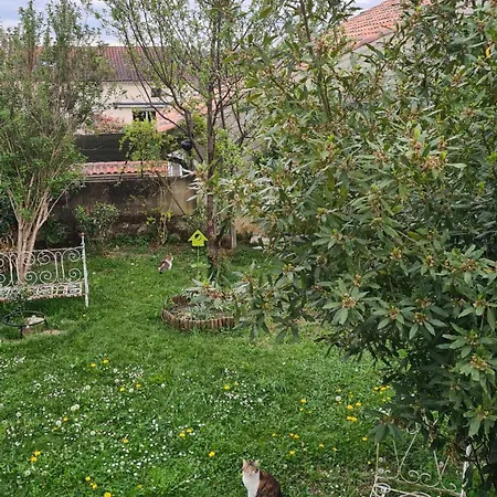 Villa Pierre-2