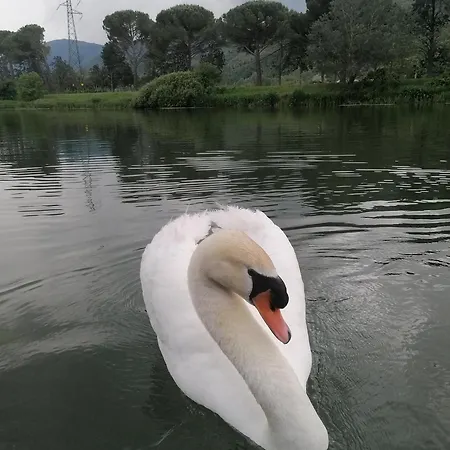 La Cannucciola-3