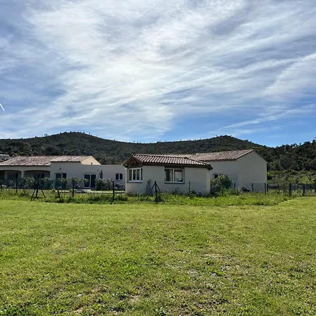 Le Pin D'Alep-2