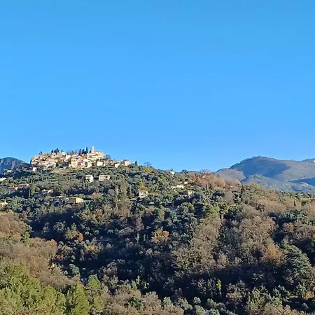 Le Domaine De La Feuilleraie-2