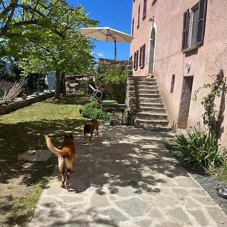 Casa Rosa-3