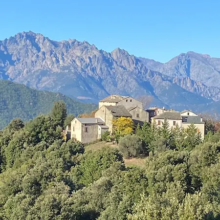 Casa Rosa-2