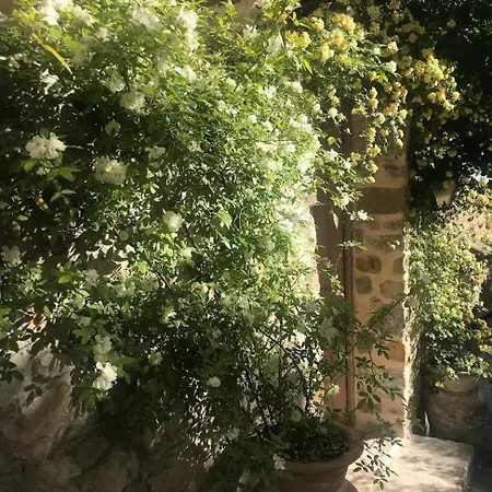 Les Vieux Murs-3