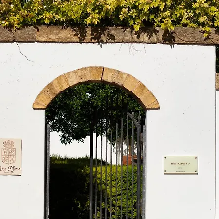 Don Alfonso Dimora D'epoca-3