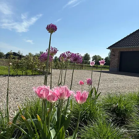 B&B de Plattelandshoeve-2