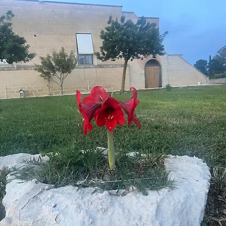 Masseria Gelsi-2