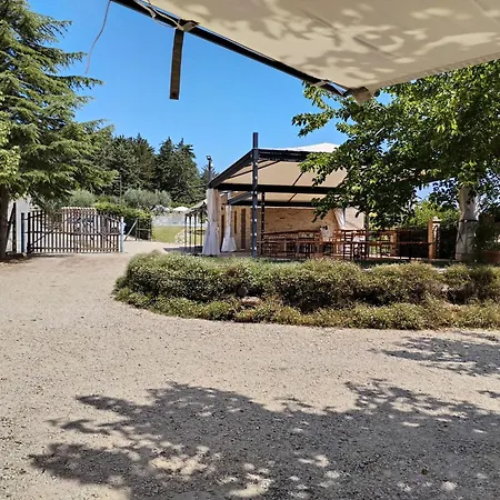 B&B Il Gelso Country House-3