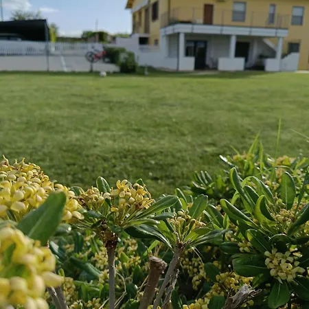 Natura e Mente Camere e Relax-2