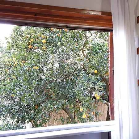 La Gaggia Guest House-2