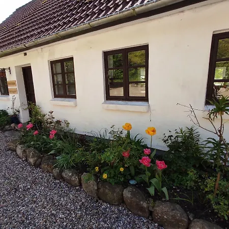 Emily'S Garden-3