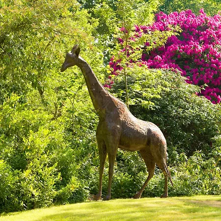 Tyrrells Park-2